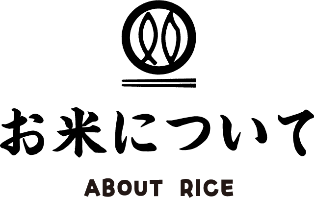 お米について